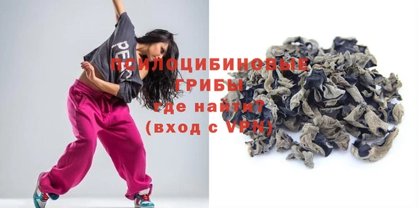 ALPHA PVP Остров