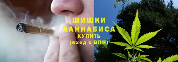 ALPHA PVP Остров