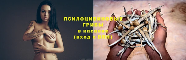 ALPHA PVP Остров