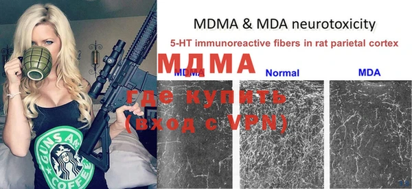 ALPHA PVP Остров
