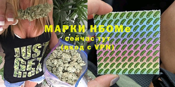 ALPHA PVP Остров