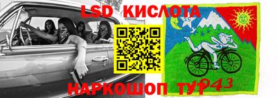 эйфоретик Краснодар