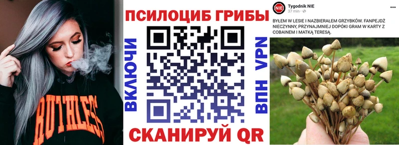Псилоцибиновые грибы MAGIC MUSHROOMS  МЕГА ONION  Ртищево 