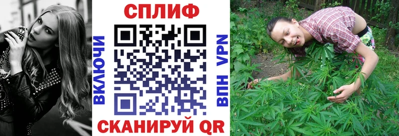 блэк спрут онион  Ртищево  Бошки Шишки THC 21% 