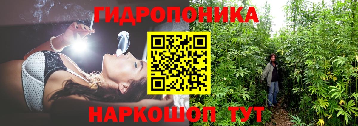 Бошки марихуана AK-47  Каннабис планчик  Ртищево  Вход с VPN 